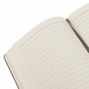 AGENDARIO DYNA